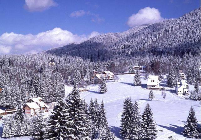 Poiana Brasov, Aparthotel 609,Alpin Εξωτερικό φωτογραφία